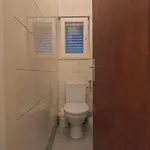Kiwi *