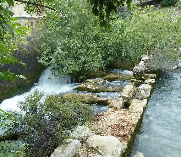 Kiwi Διαμέρισμα Gornji Karin