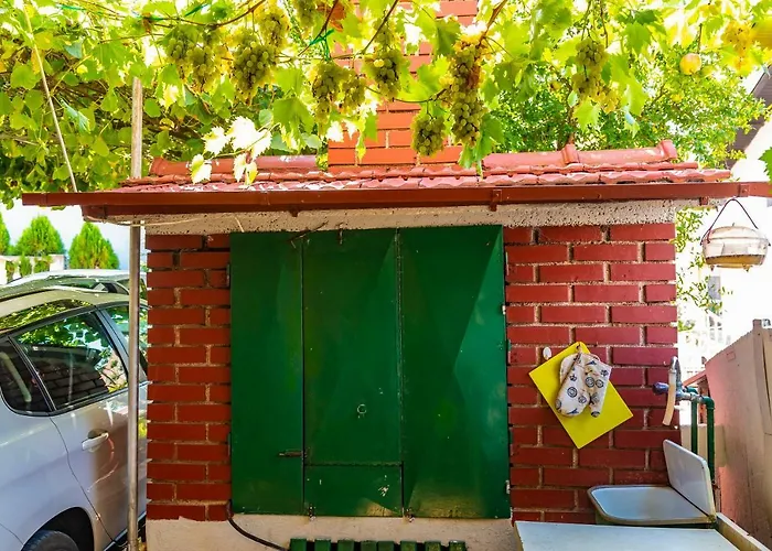 Kiwi Gornji Karin
