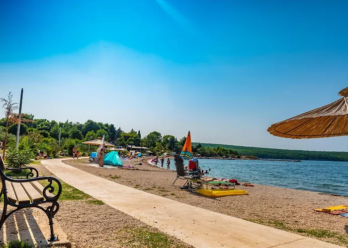 Kiwi * 고르니 카린