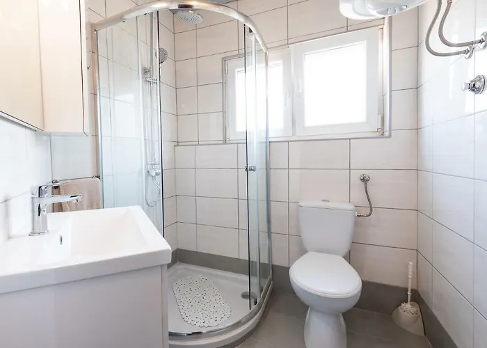 Kiwi 고르니 카린